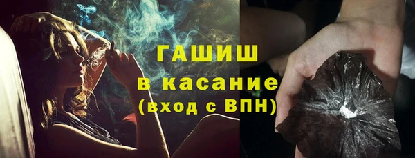 сатива Богородицк