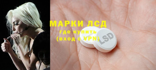 спиды Богданович
