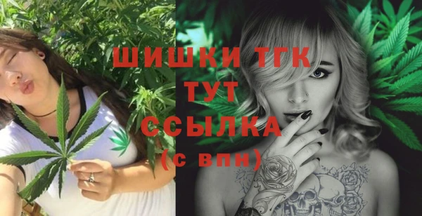 сатива Богородицк