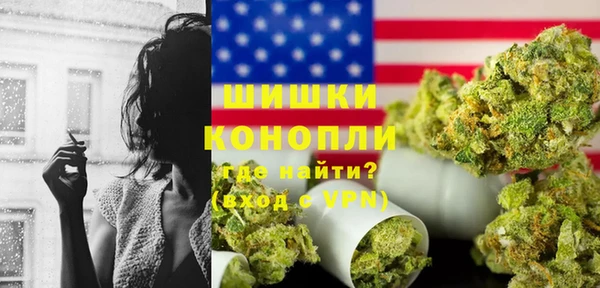 сатива Богородицк